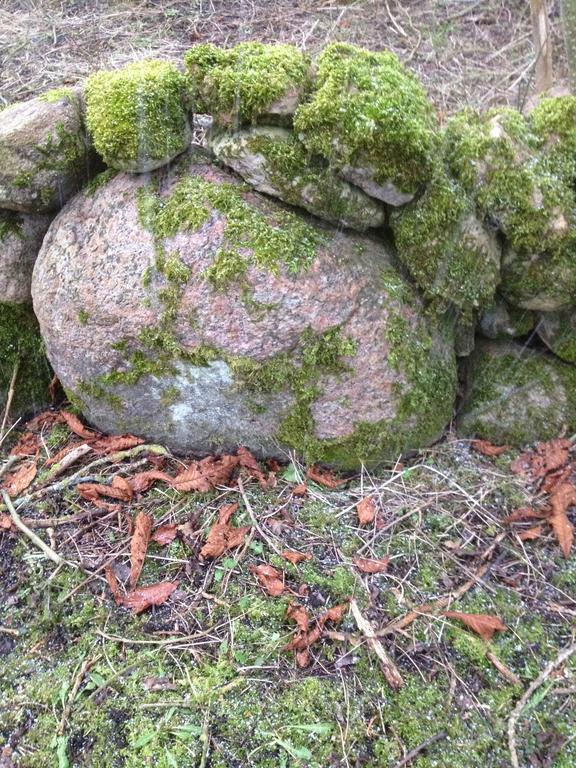 Paradiset Östra Öland Nedra Sandby Exteriör bild