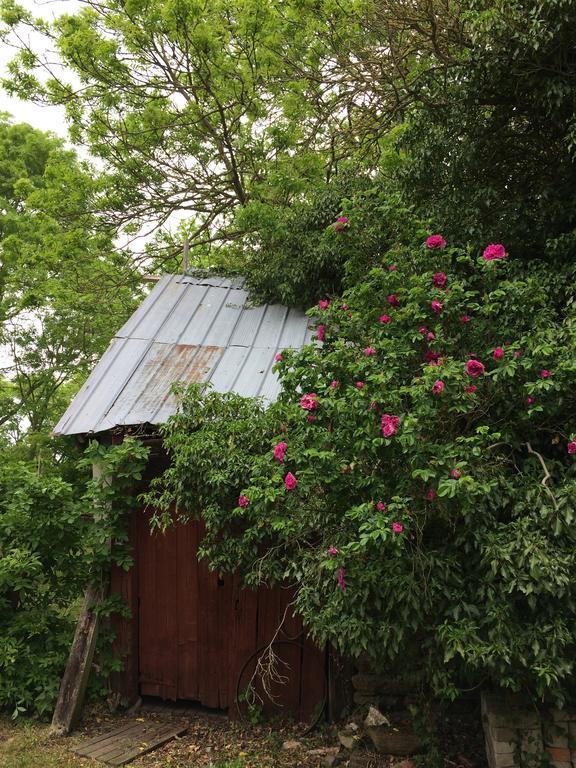Paradiset Östra Öland Nedra Sandby Exteriör bild