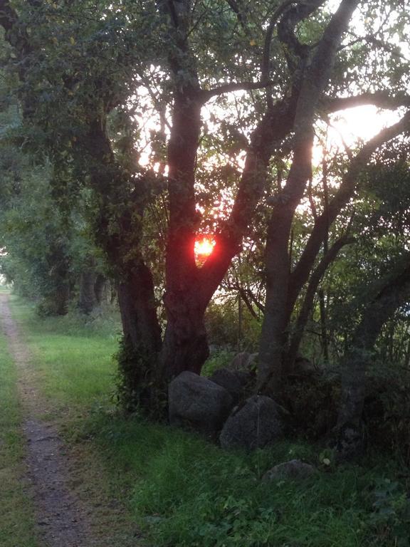 Paradiset Östra Öland Nedra Sandby Exteriör bild